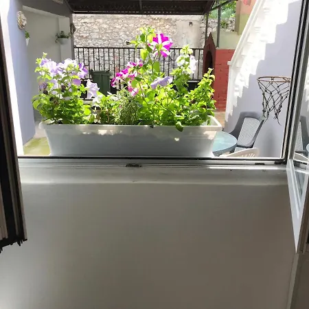 Apartman Robi